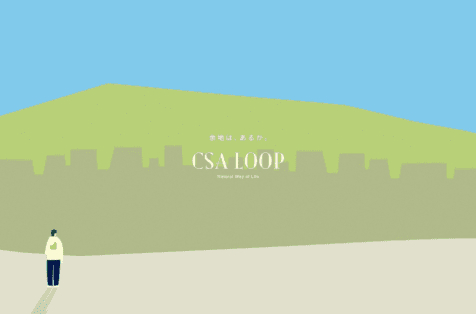 English Guide to CSA LOOP